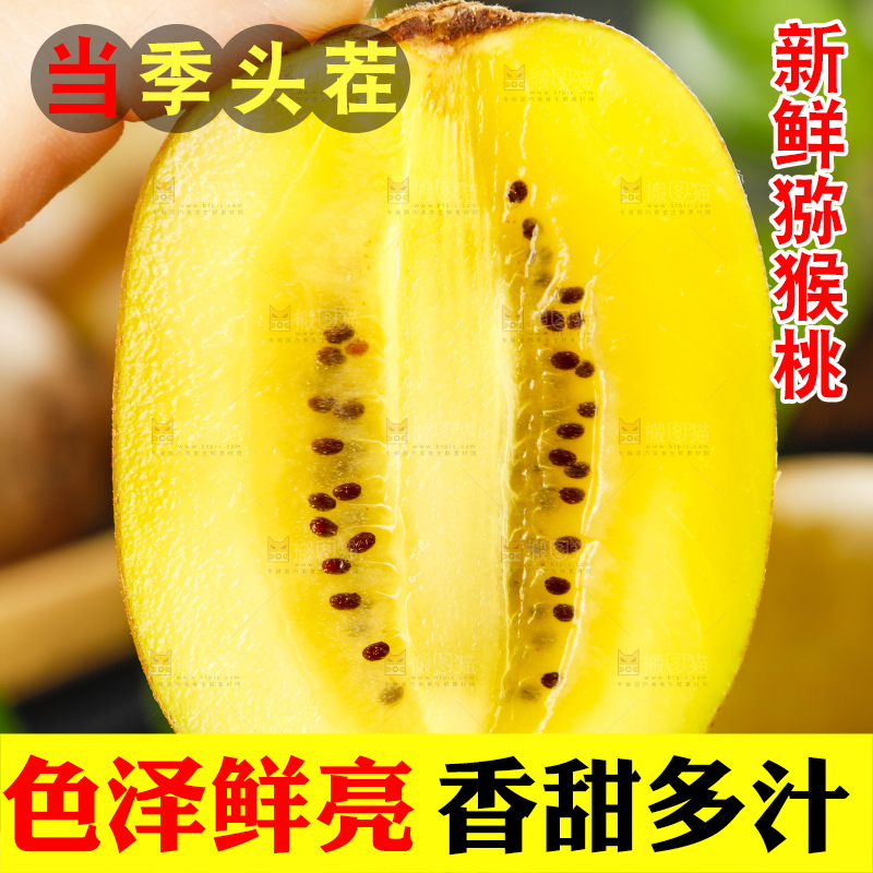 手里拿着黄心猕猴桃