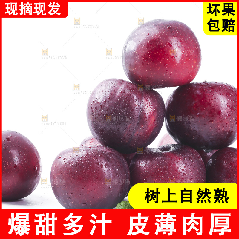 白底上放着黑布林