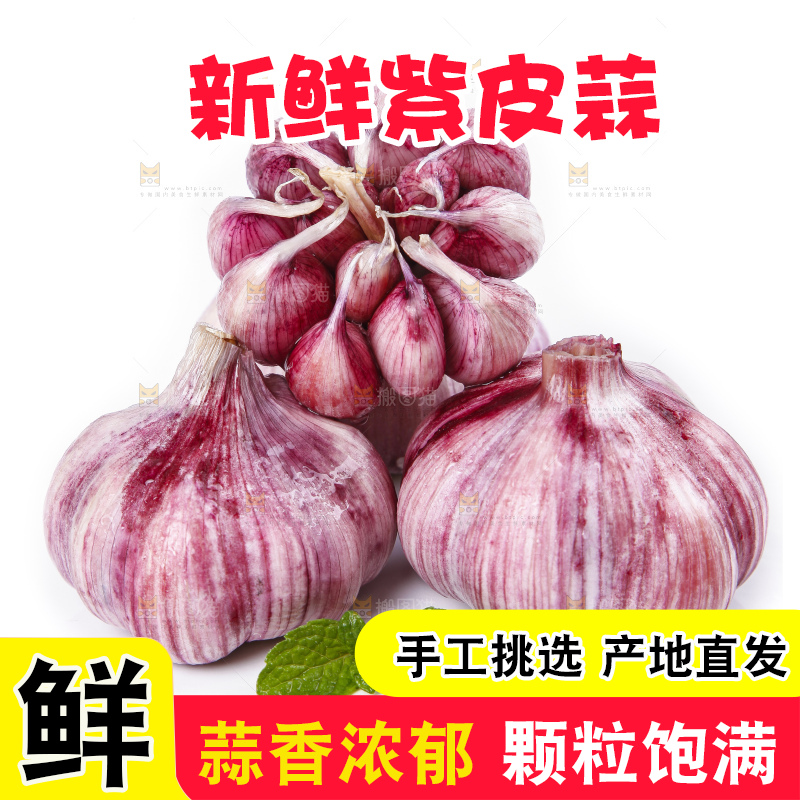 白底上放着紫皮蒜