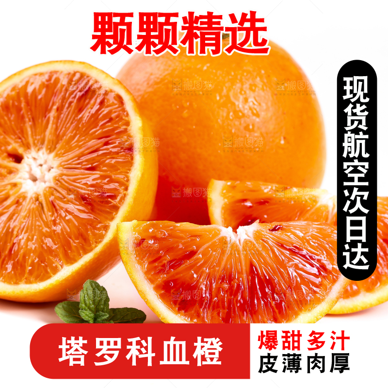 白底上的玫瑰血橙