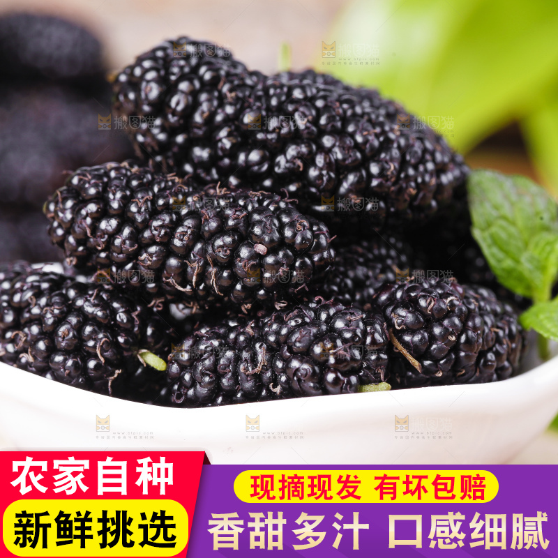 碟子里装着黑桑葚