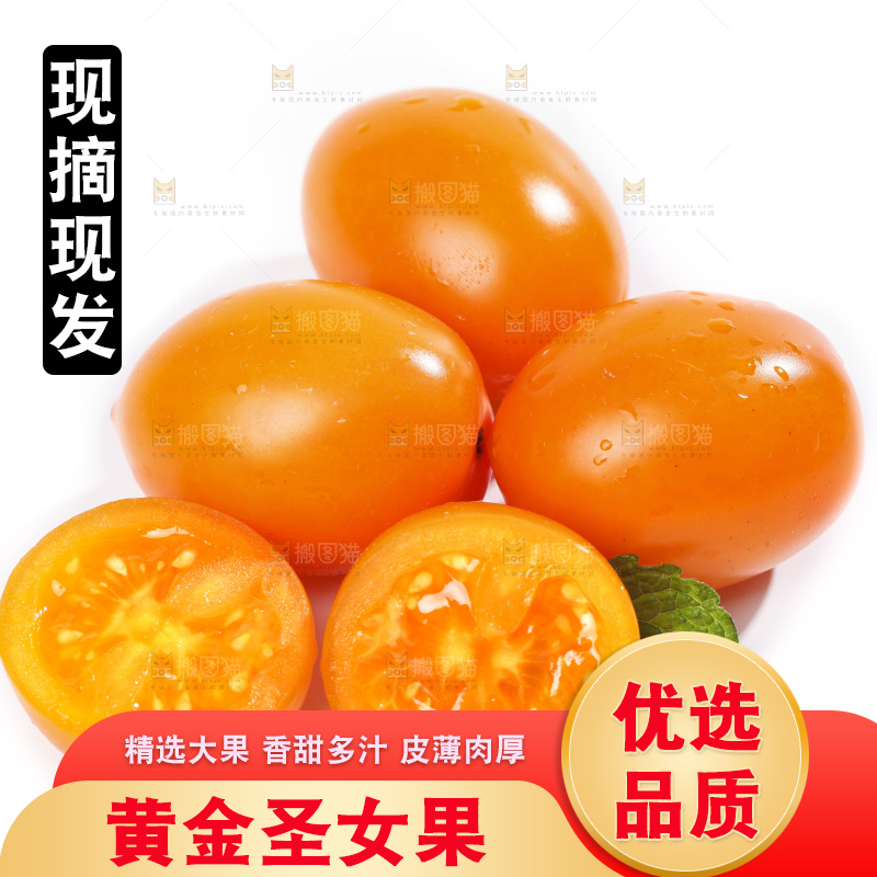 白底上摆放着山东黄金圣女果