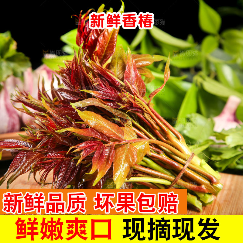 木底上放着一把秦岭香椿