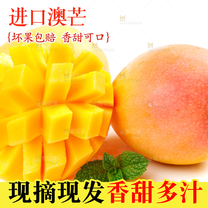 白底上摆放着越南澳芒