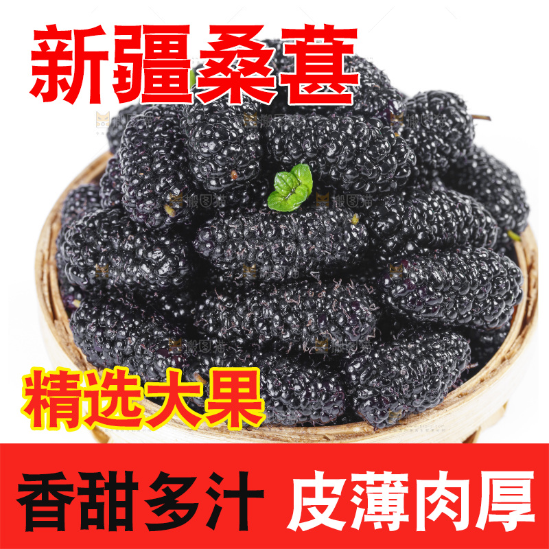 篮子里装着黑桑葚
