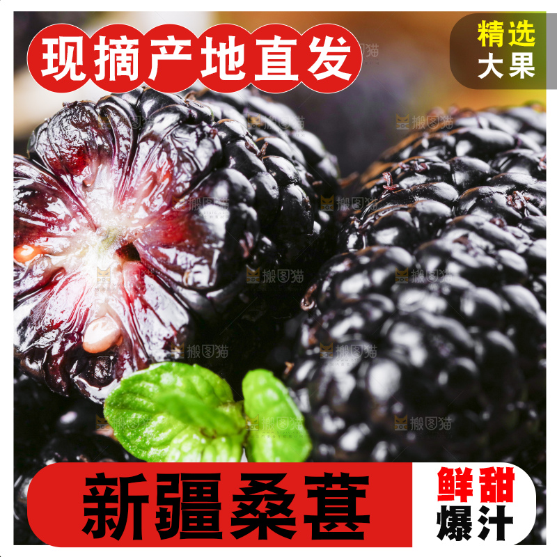 堆放着一堆桑枣