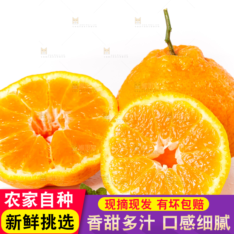 白底上摆放着丑柑