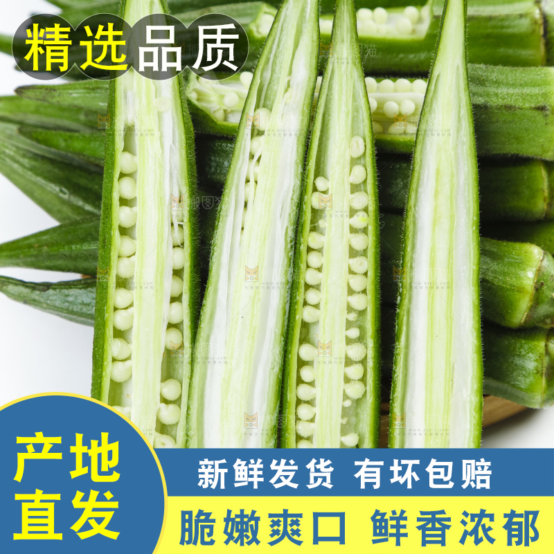 篮子里装着山东新鲜秋葵