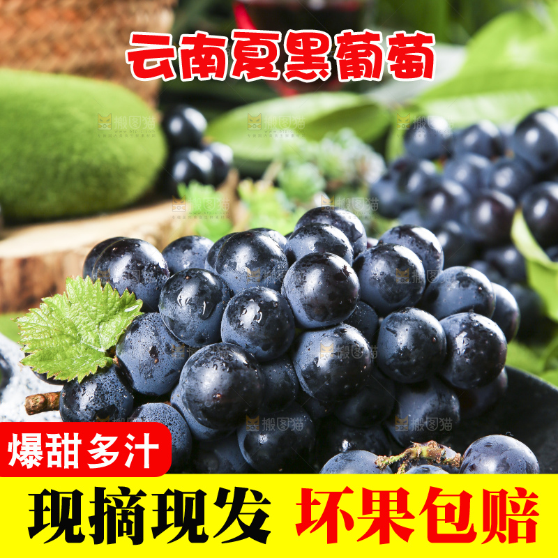 碟子里装着黑加仑