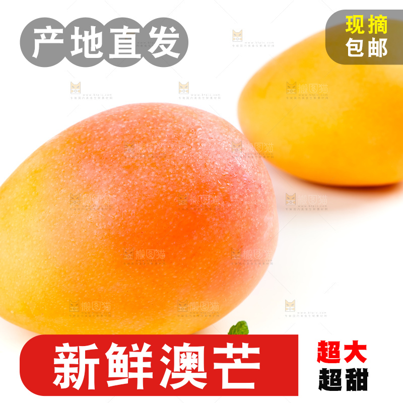 白底上摆放着越南澳芒