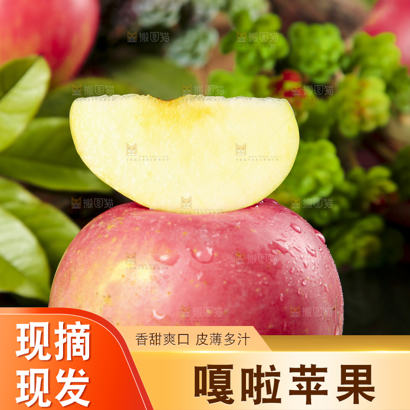 深底上摆放着红嘎啦苹果