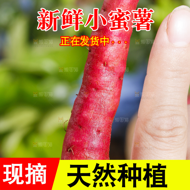 手里拿着小蜜薯