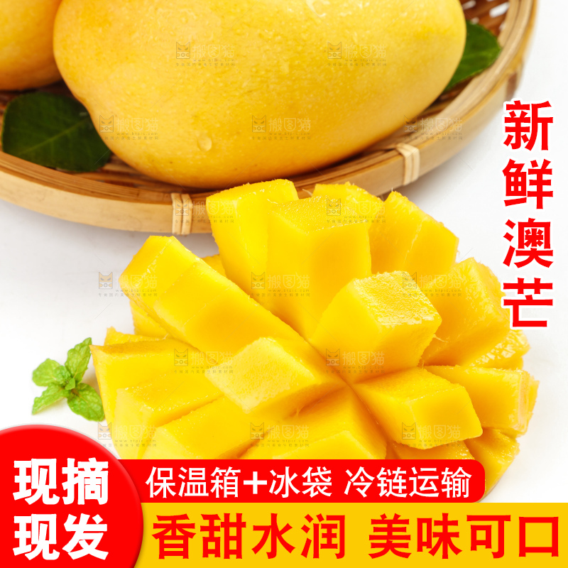 白底上摆放着澳芒