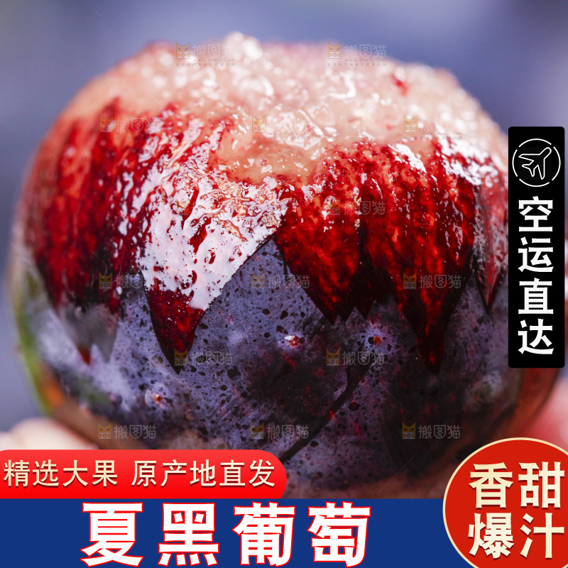 手里拿着紫葡萄