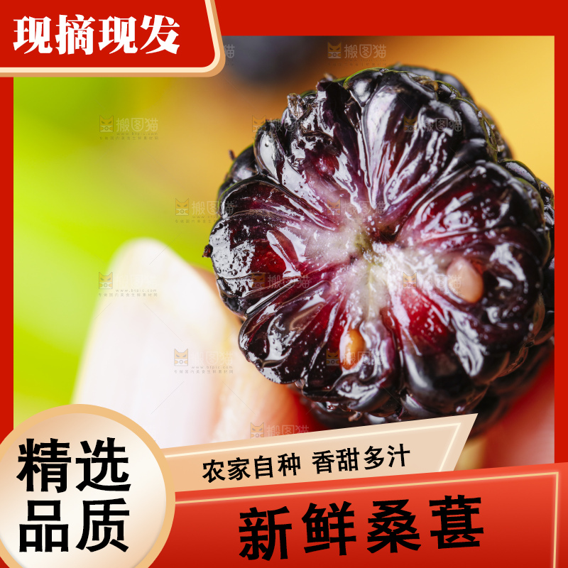 手里拿着黑桑葚