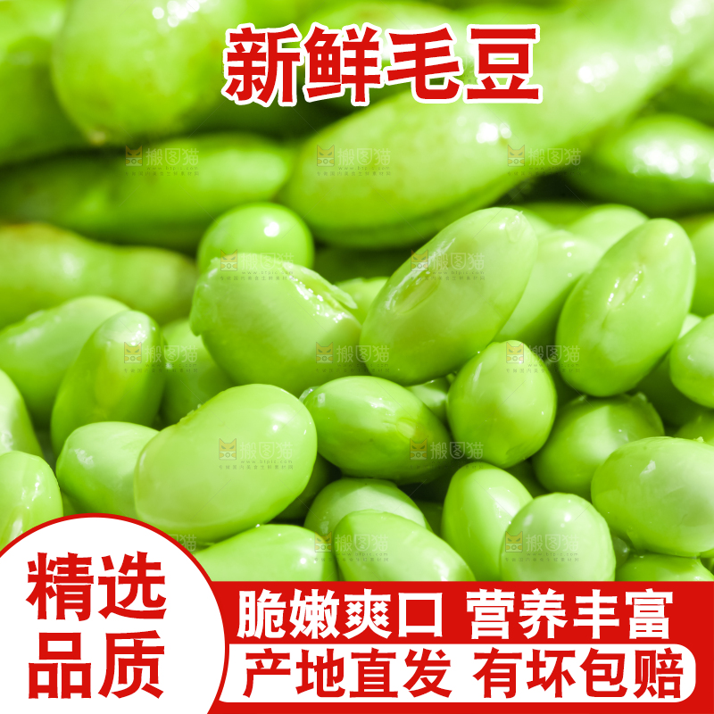 盘子里装着青豆