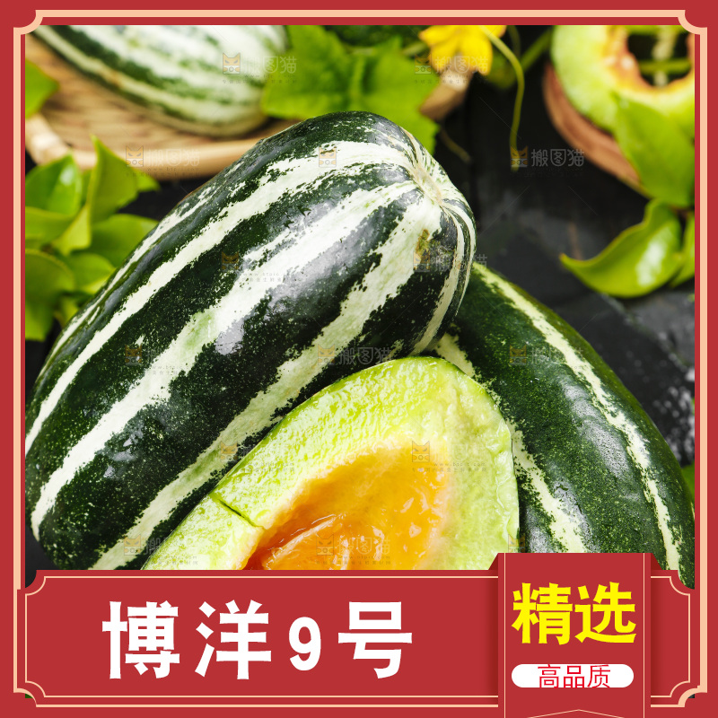 盘子里装着博洋蜜脆甜瓜