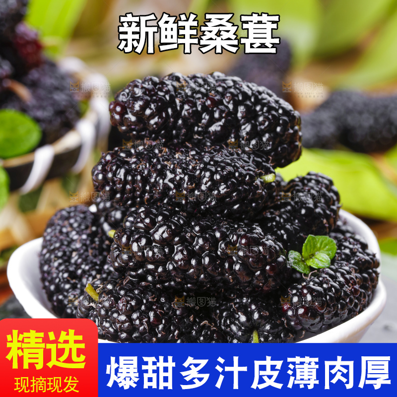 碟子里装着黑桑葚