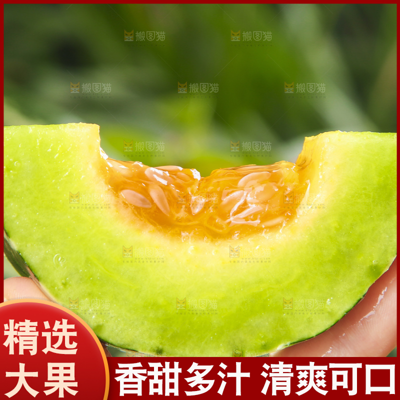 手里拿着羊角蜜甜瓜