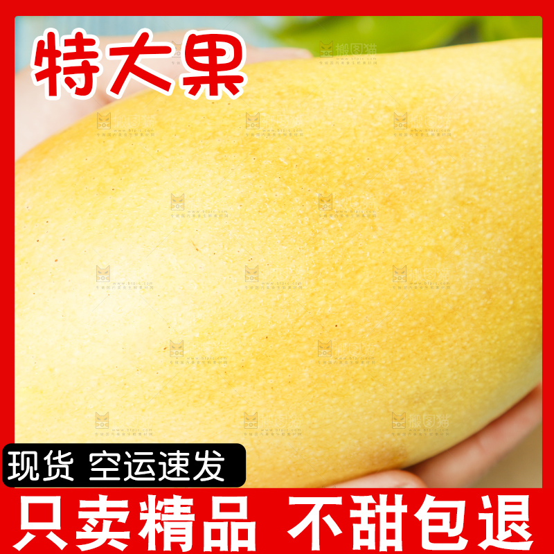 手里拿着高乐蜜芒果