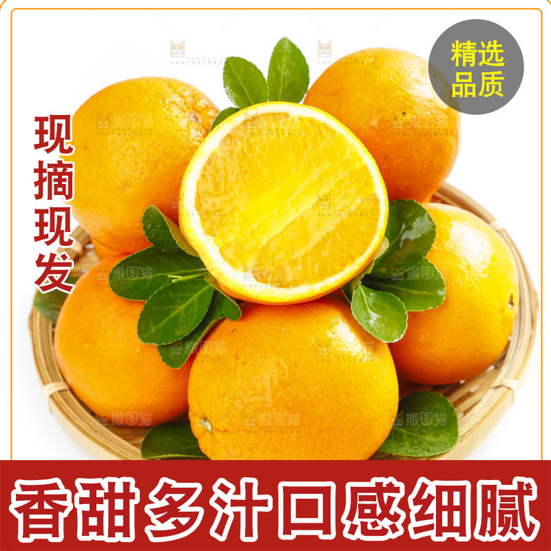 篮子里装着脐橙