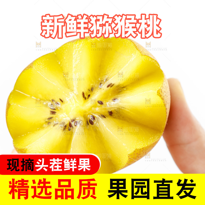 手里拿着黄心奇异果