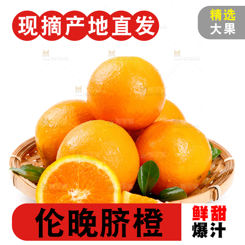 篮子里装着橙子