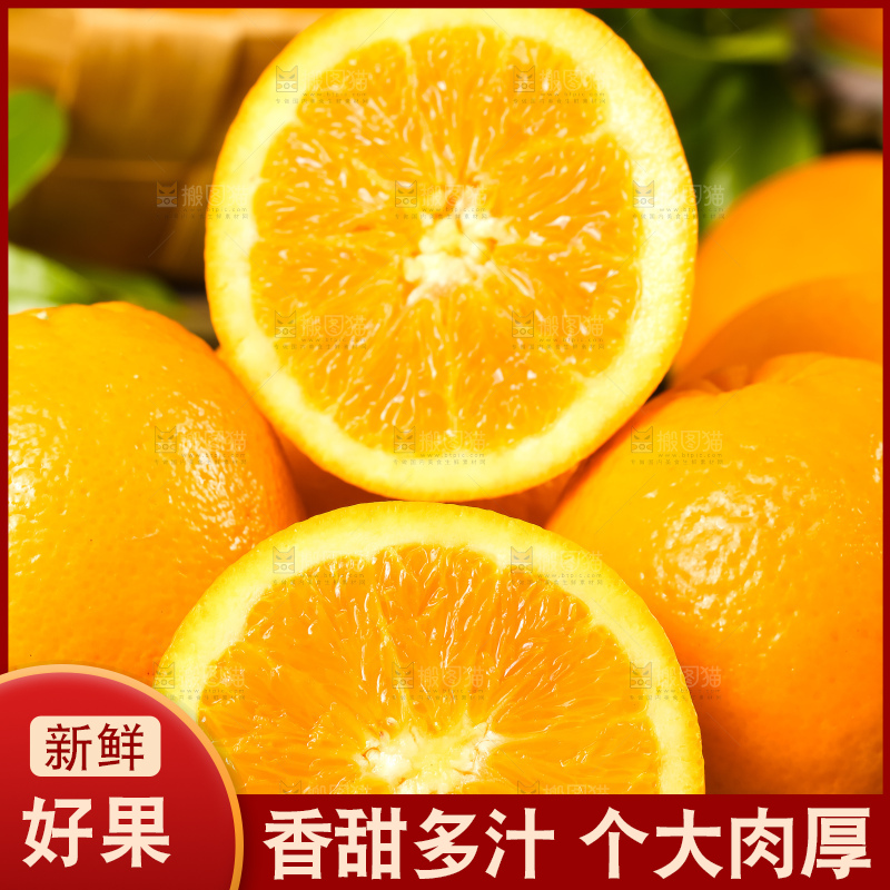 木底上摆放着伦晚脐橙
