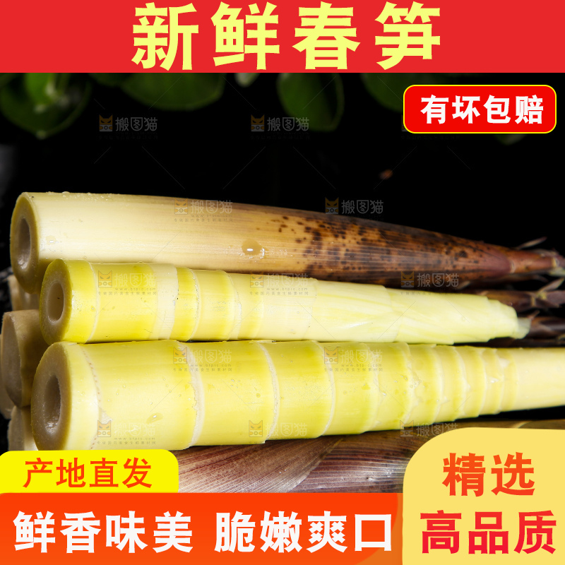 深底上摆放着雷竹笋