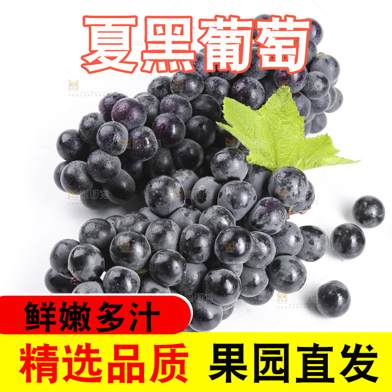 白底上放着夏黑葡萄