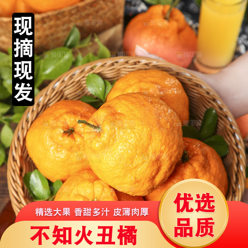 篮子里装着四川不知火丑橘
