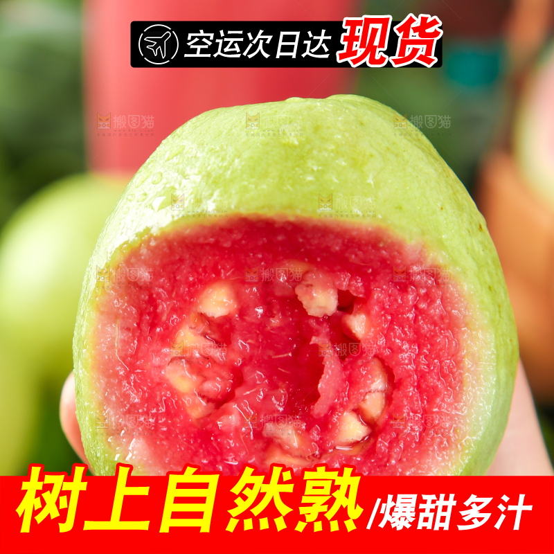 手里拿着红心番石榴