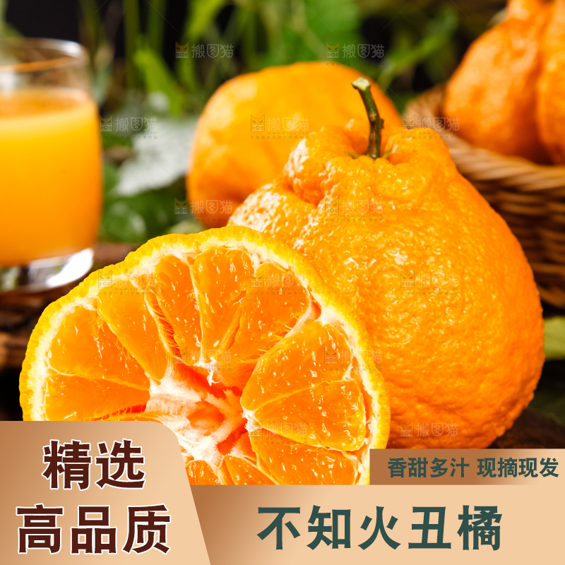 黑底上放着不知火丑橘