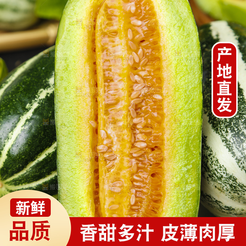 盘子里装着博洋蜜脆甜瓜