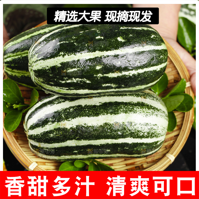 手里拿着一篮博洋甜瓜