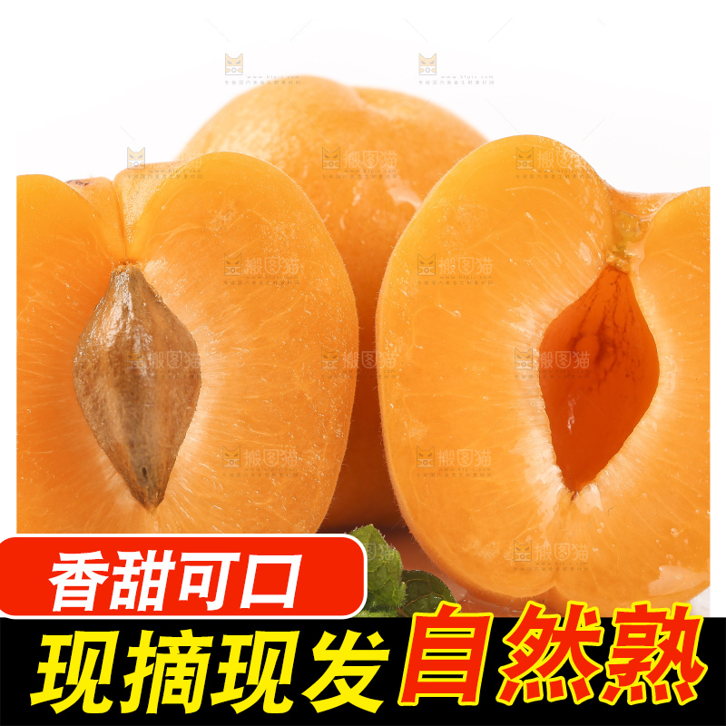 白底上放着山东大黄杏