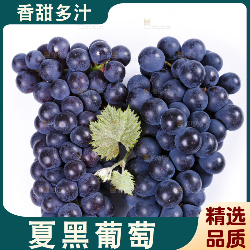 白底上摆放着巨峰葡萄