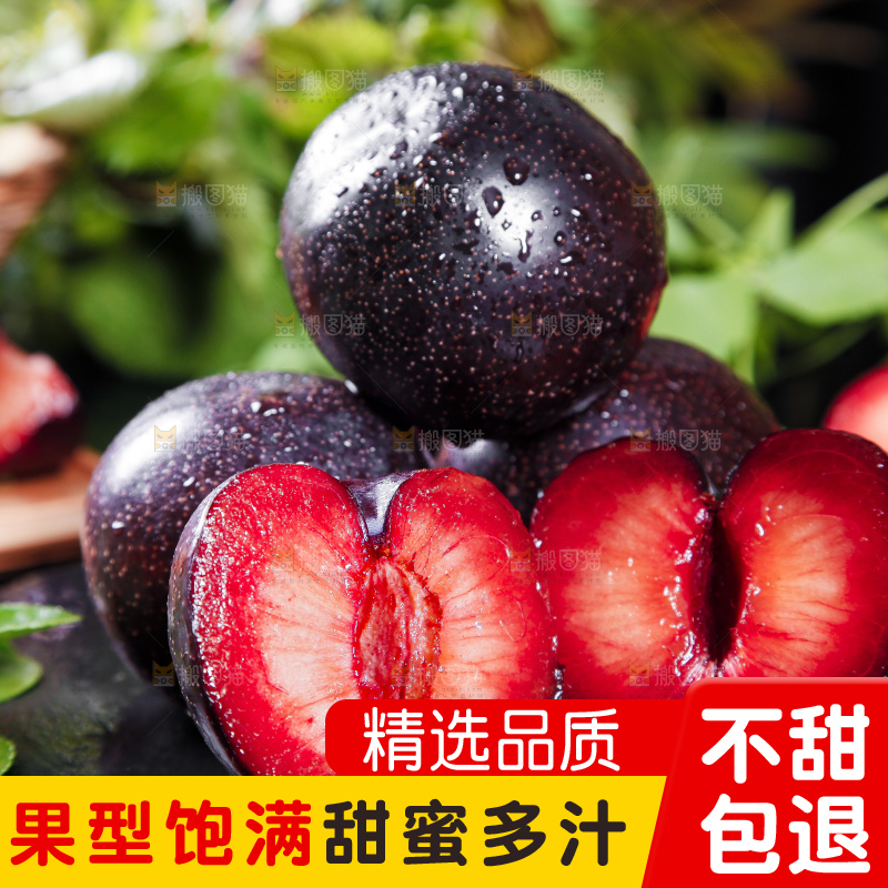 深底上摆放着恐龙蛋李