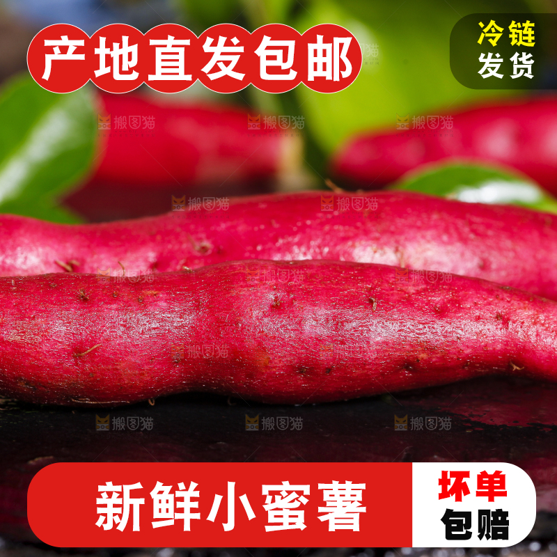 深底上摆放着小红薯