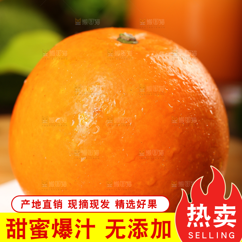 木底上摆放着塔罗科血橙