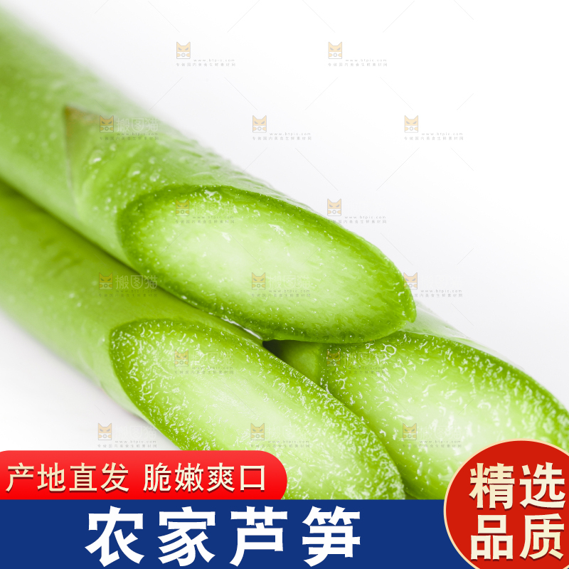 白底上放着芦笋