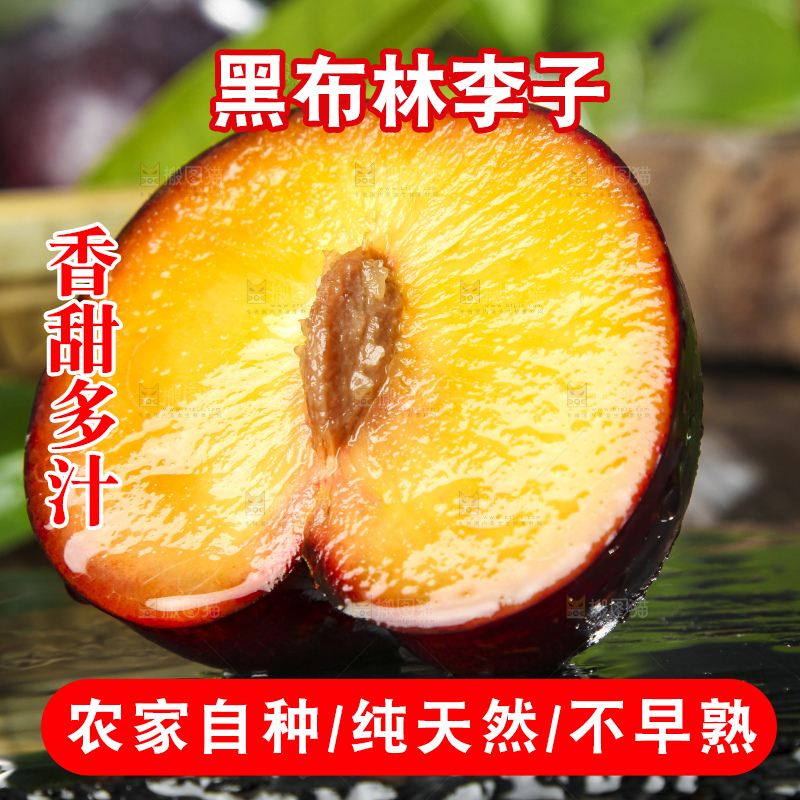深底上放着智利黑布林李子
