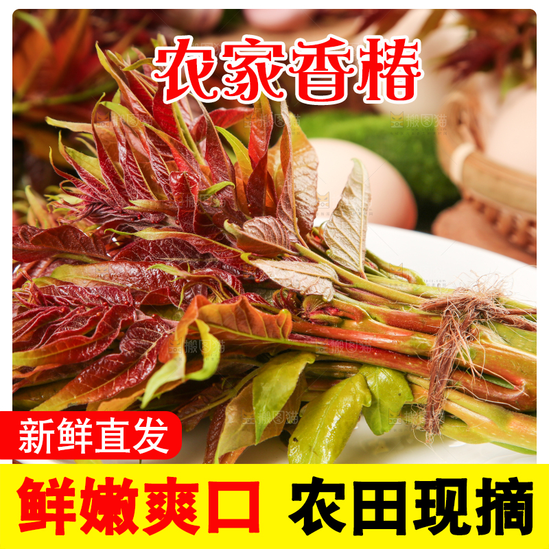 盘子里装着新鲜香椿苗