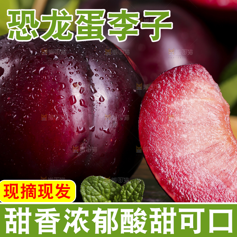 黑底上摆放着恐龙蛋李
