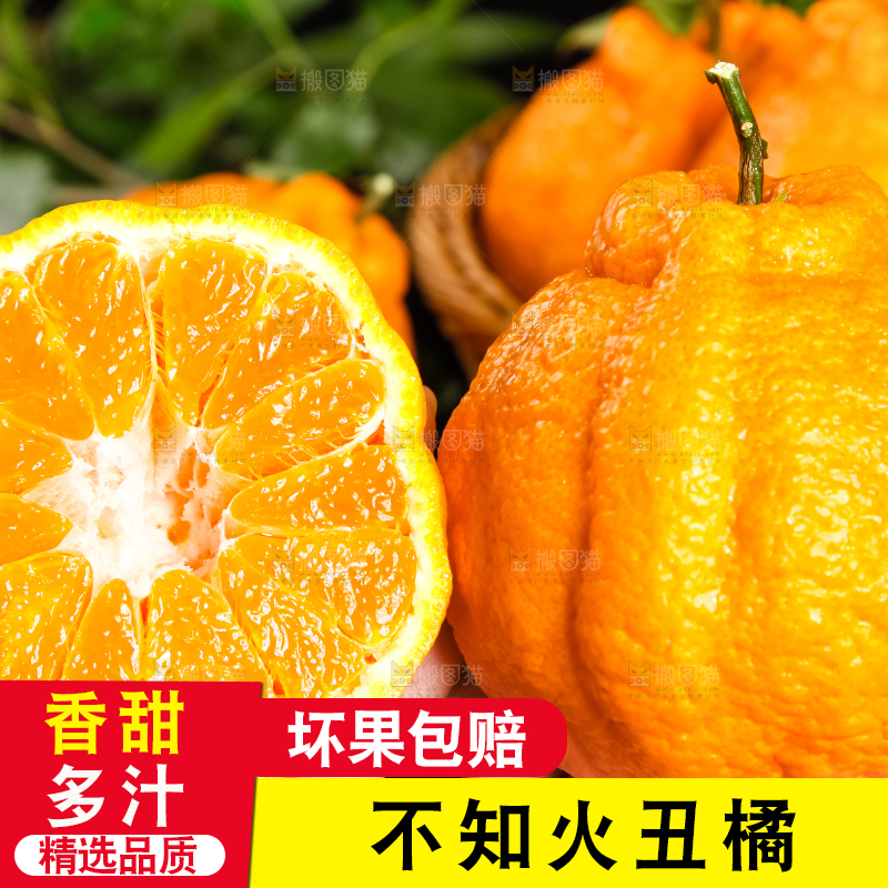手里拿着新鲜丑橘