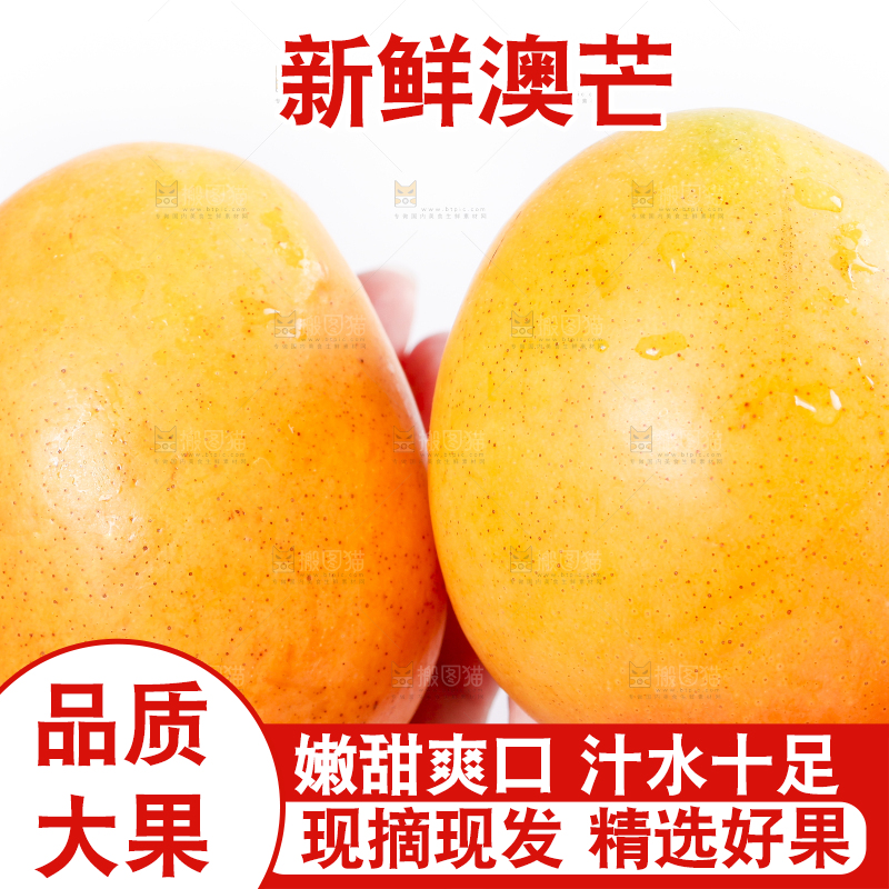 手里拿着澳芒