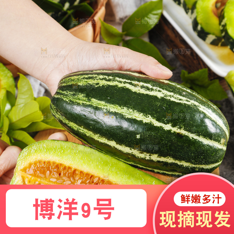 手里拿着酥蜜9号