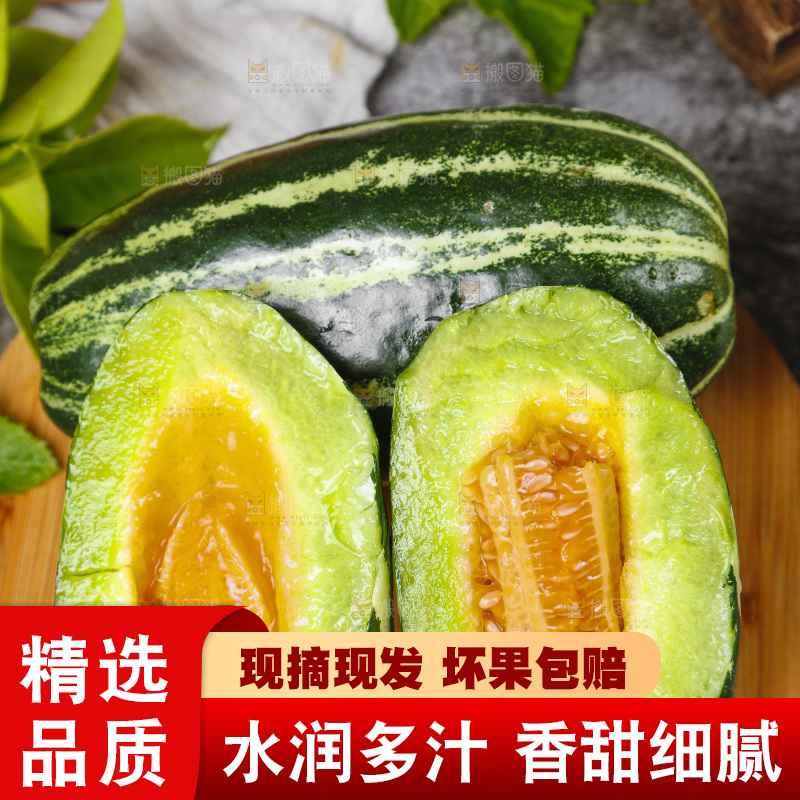 木底上摆放着山东博洋9号甜瓜