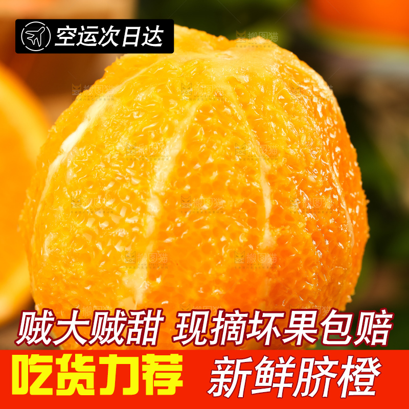 绿地上放着脐橙