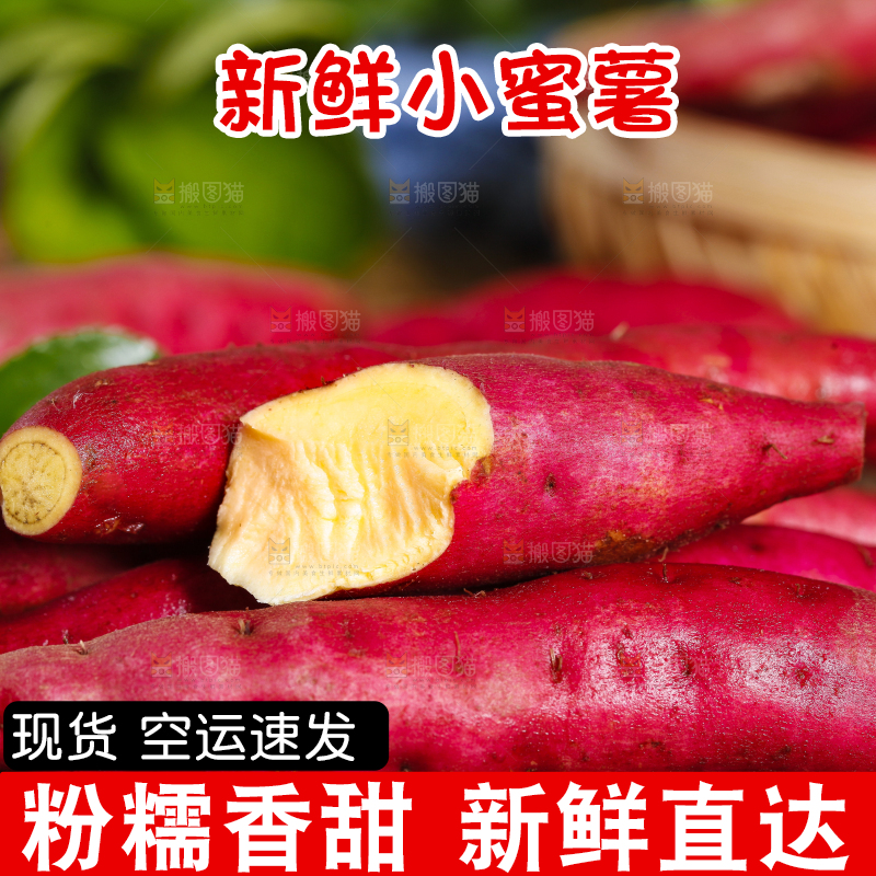 深底上摆放着小红薯